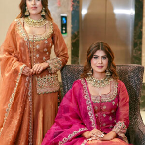 Royal Festive Lehenga Choli Pair with Handcrafted Detailing